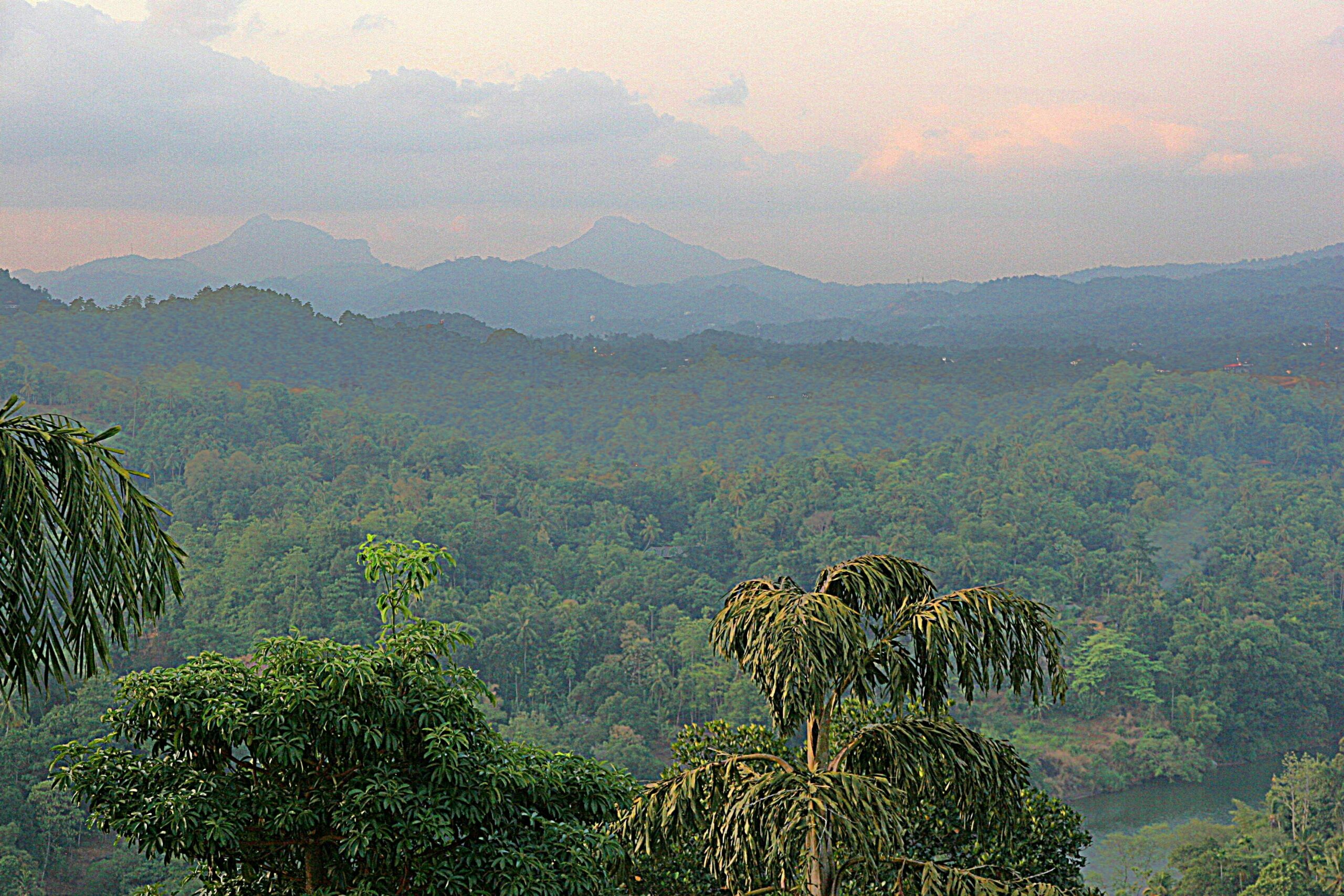 Biodiversity Conservation Sustainable Models Biodiversity Conservation Sustainable Models