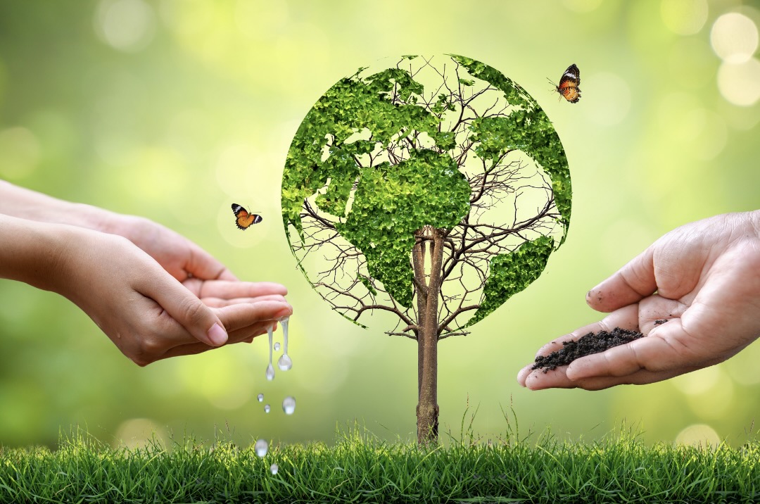 Biodiversity Conservation Sustainable Models Biodiversity Conservation Sustainable Models
