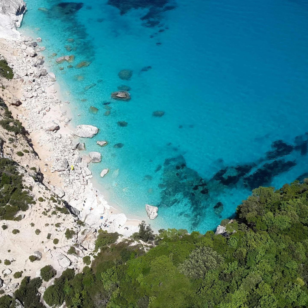 Résilience Zones Forte Biodiversité