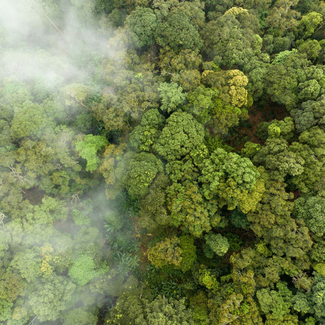 Résilience Zones Forte Biodiversité