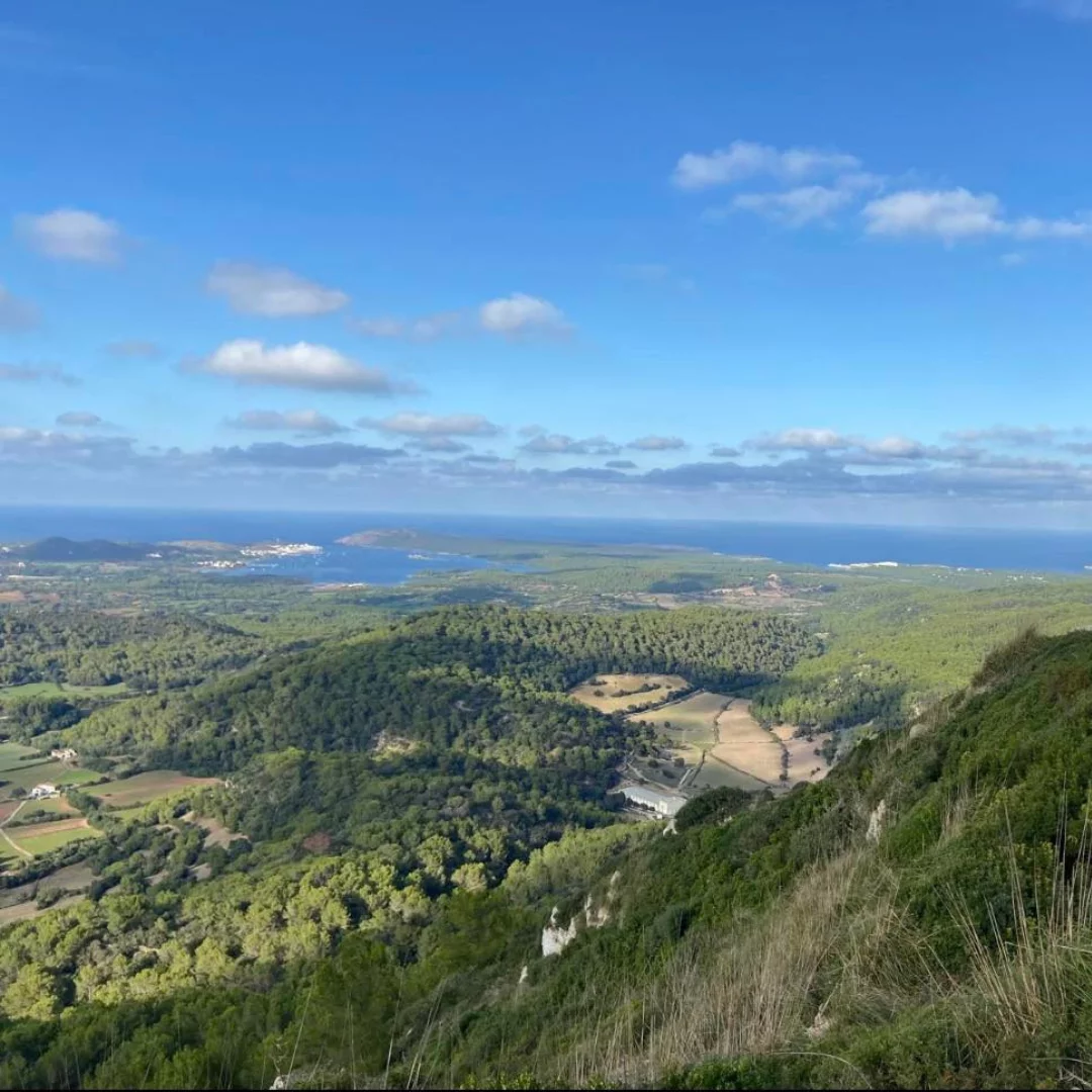 Biodiversité Conservation Résilience