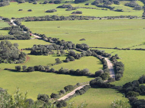 Land stewardship for the conservation of an agroecological mosaic “Custòdia Agrària” featured image