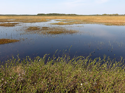 NGO supported traditional management by local communities featured image